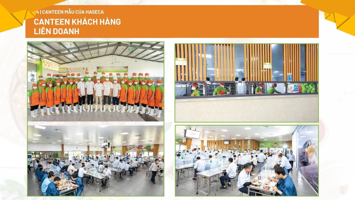 Tin tức 24h Haseca