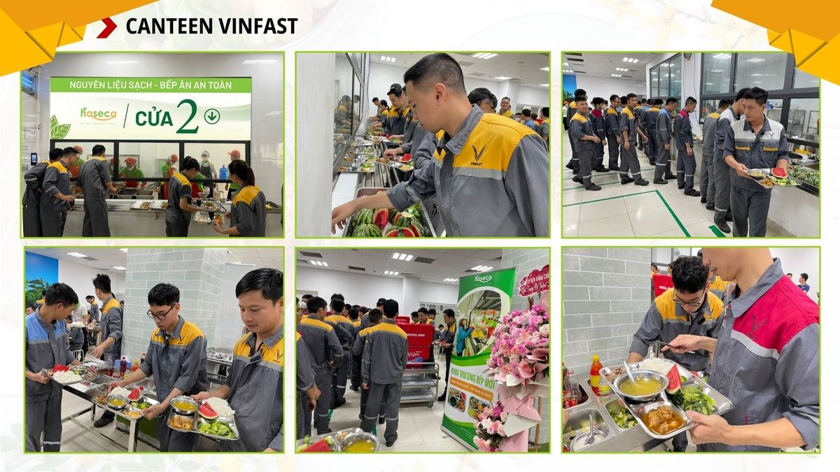 Tin tức 24h Haseca