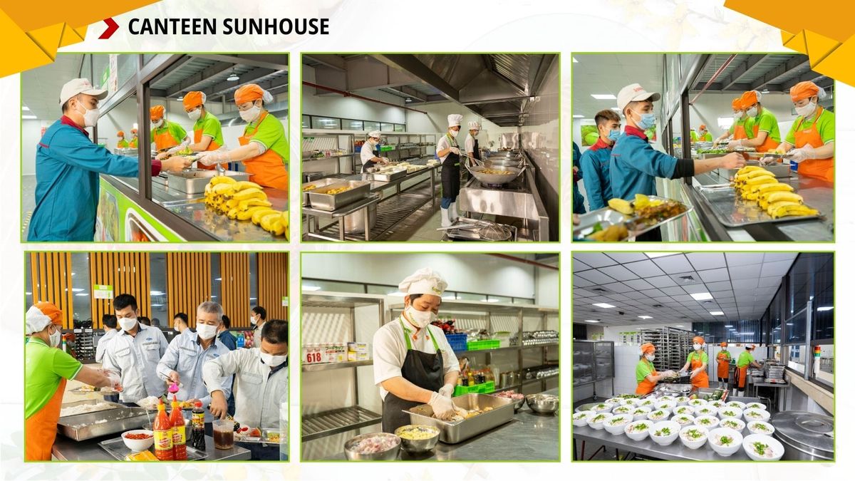 Tin tức 24h Haseca