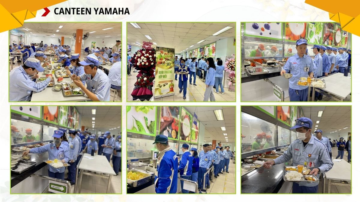 Tin tức 24h Haseca