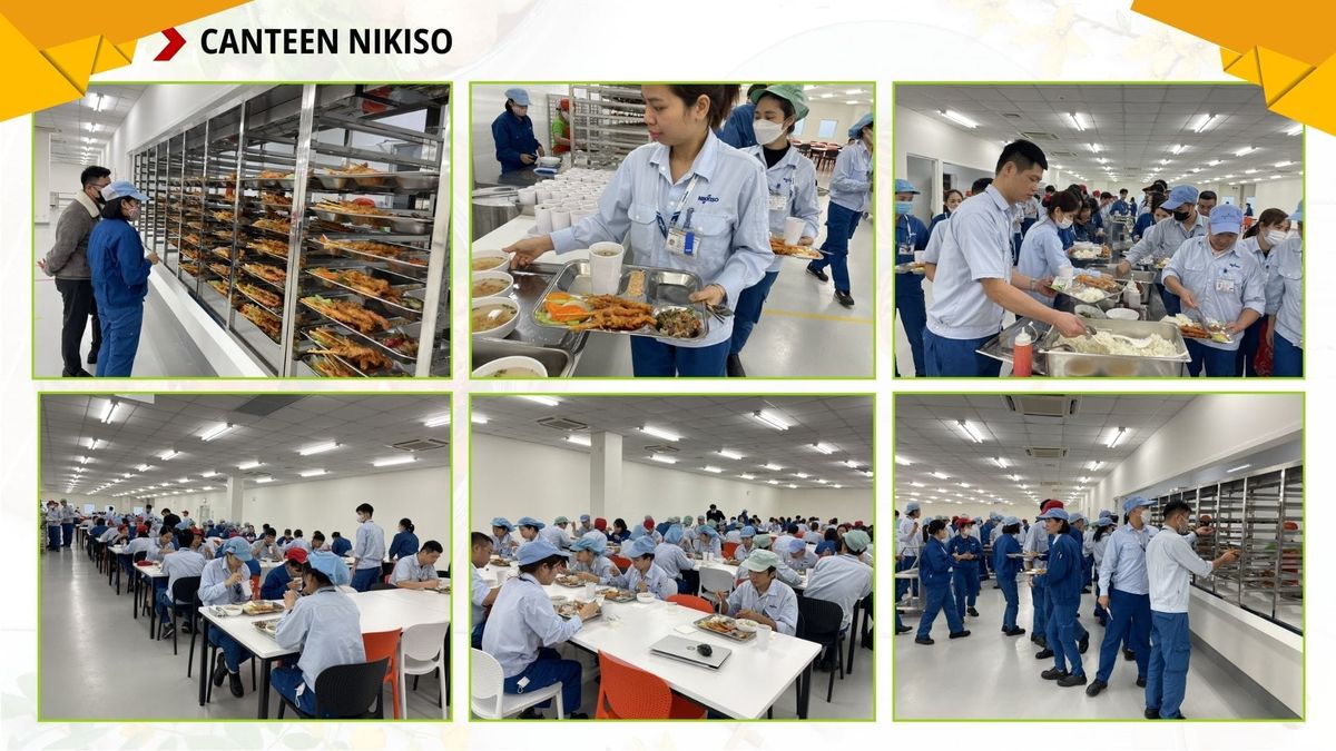 Tin tức 24h Haseca