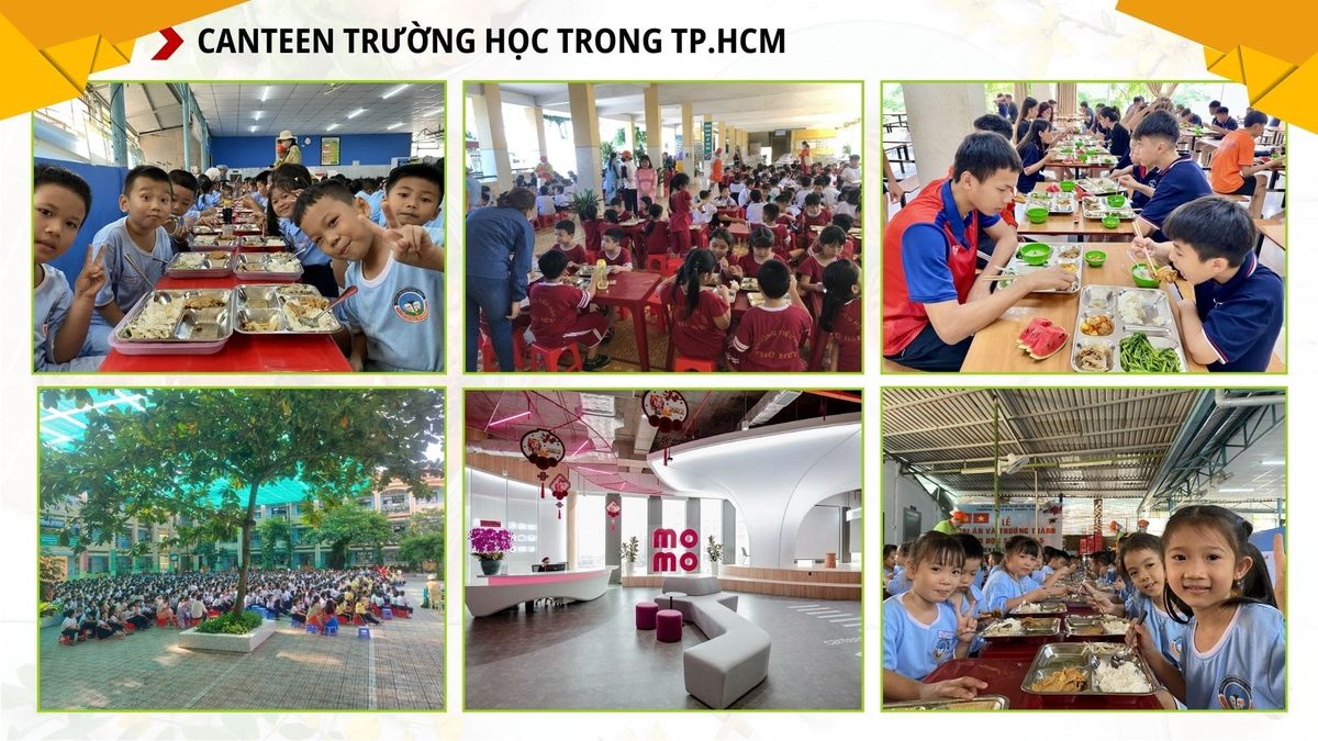 Tin tức 24h Haseca