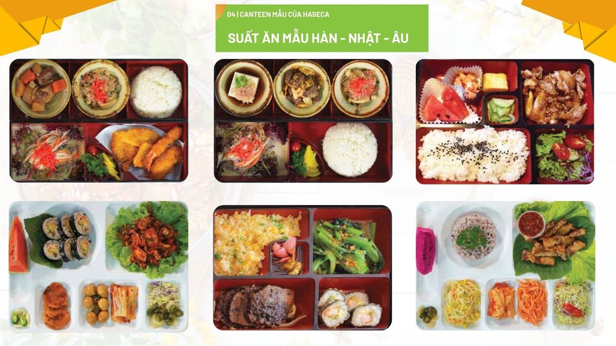 Tin tức 24h Haseca