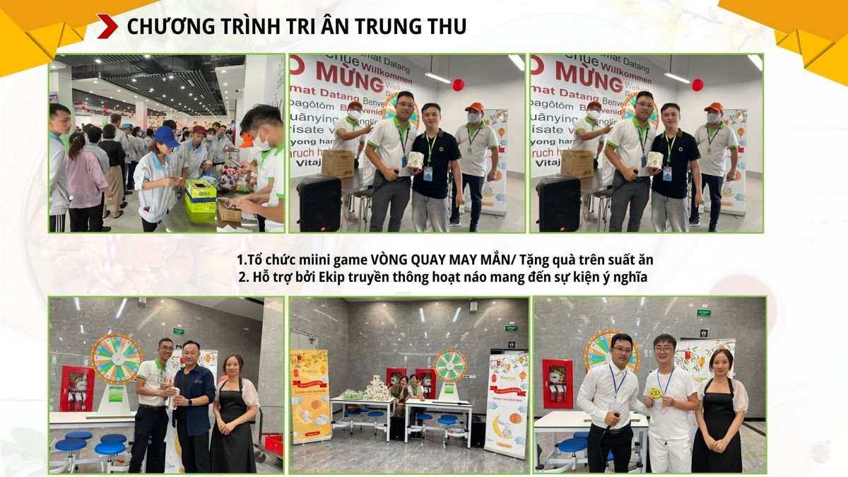 Tin tức 24h Haseca