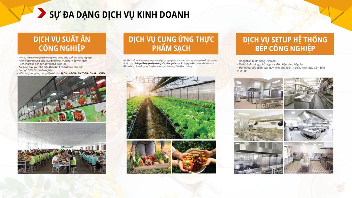 Tin tức 24h Haseca