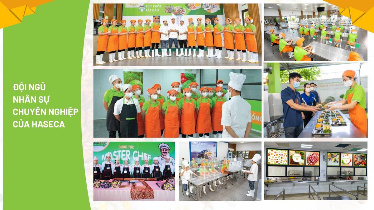 Tin tức 24h Haseca