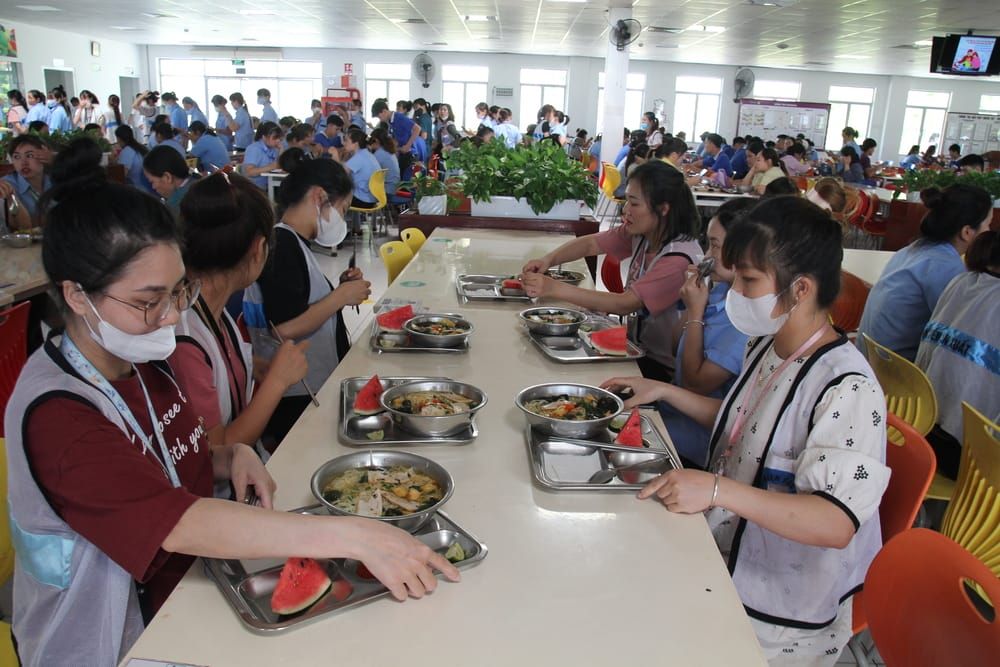 Tin tức 24h Haseca