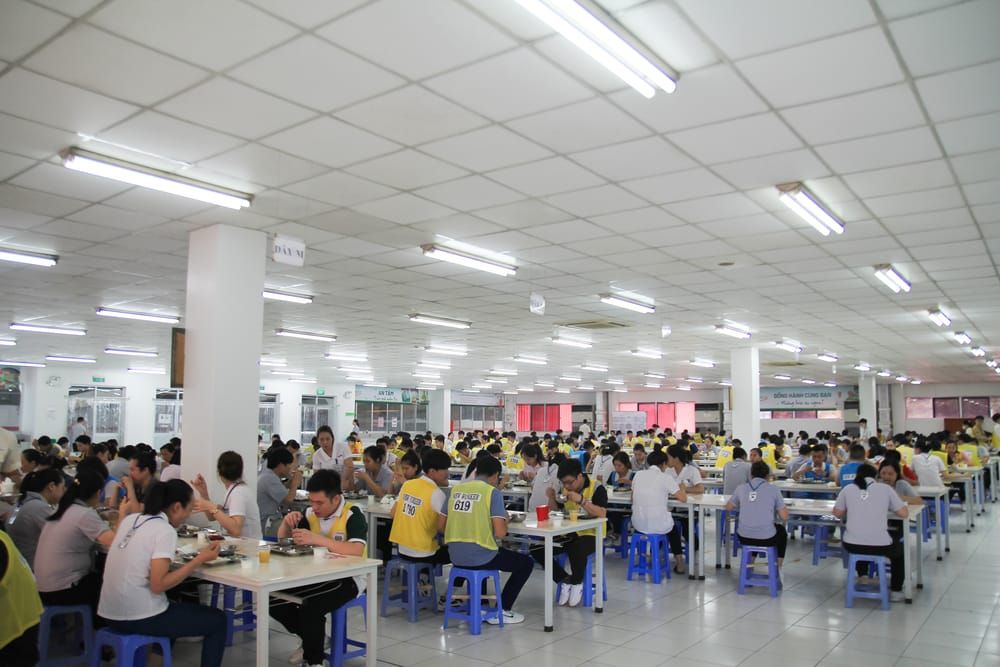 Tin tức 24h Haseca