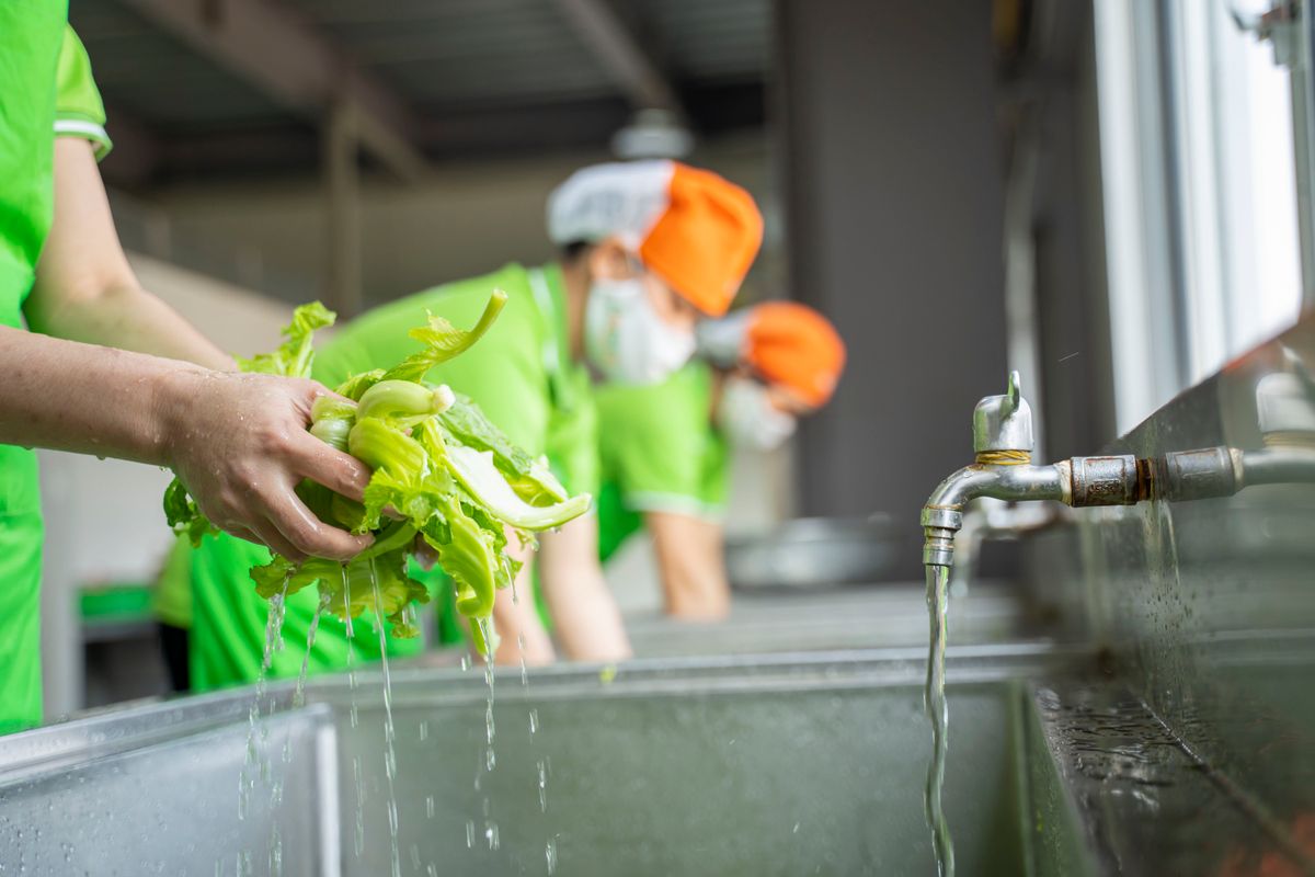 Tin tức 24h Haseca