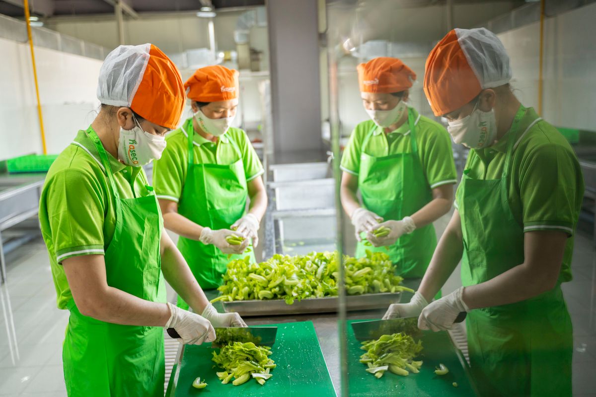 Tin tức 24h Haseca