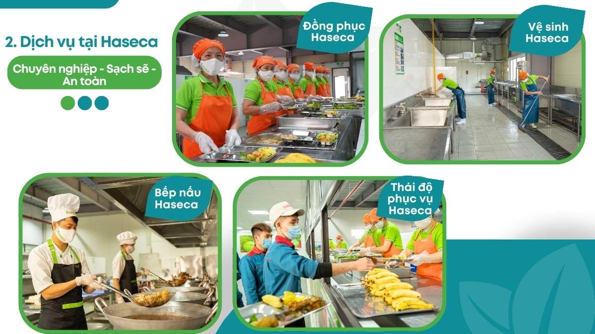 Tin tức 24h Haseca
