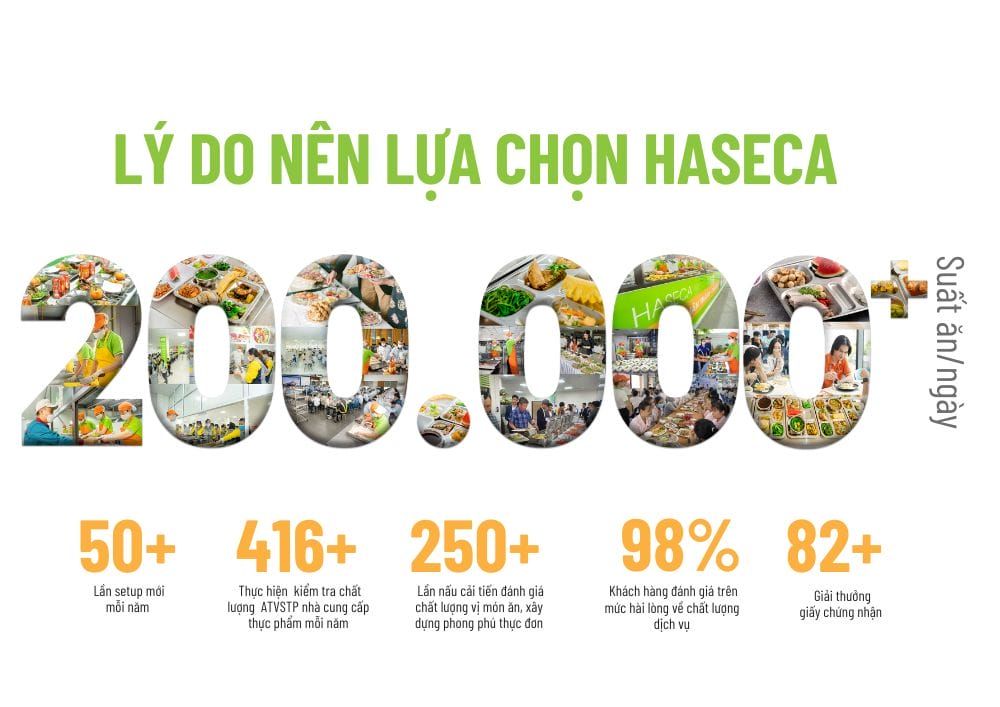 Tin tức 24h Haseca