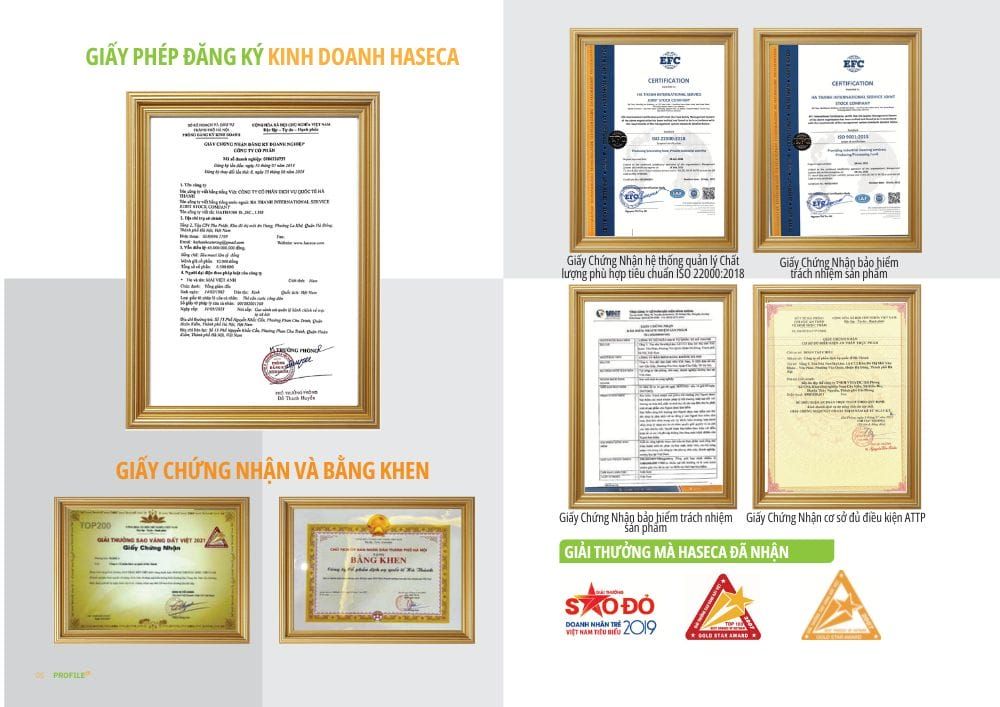 Tin tức 24h Haseca