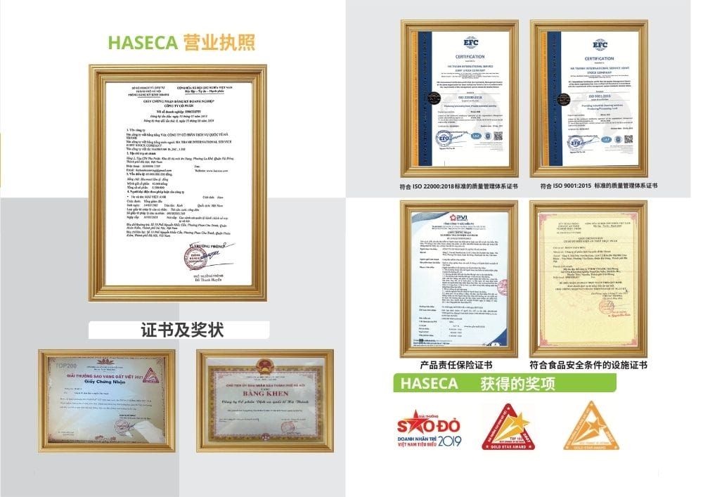 Tin tức 24h Haseca