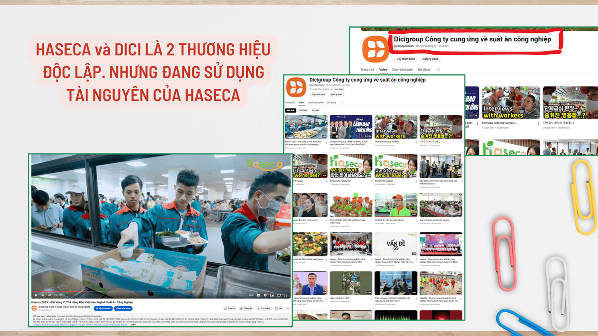 Tin tức 24h Haseca