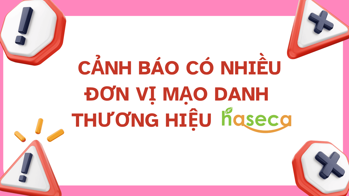 Tin tức 24h Haseca
