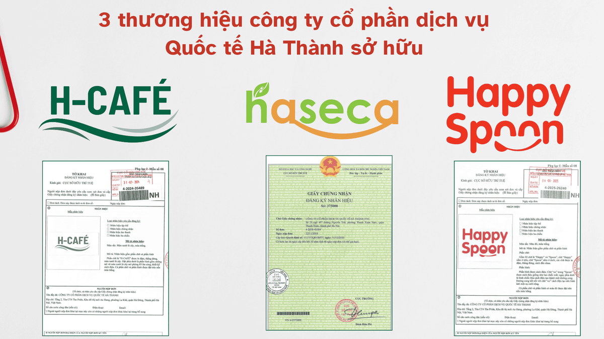 Tin tức 24h Haseca