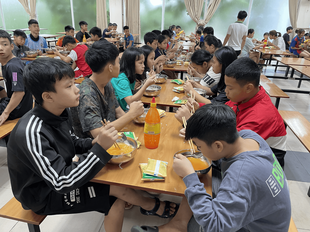 Tin tức 24h Haseca