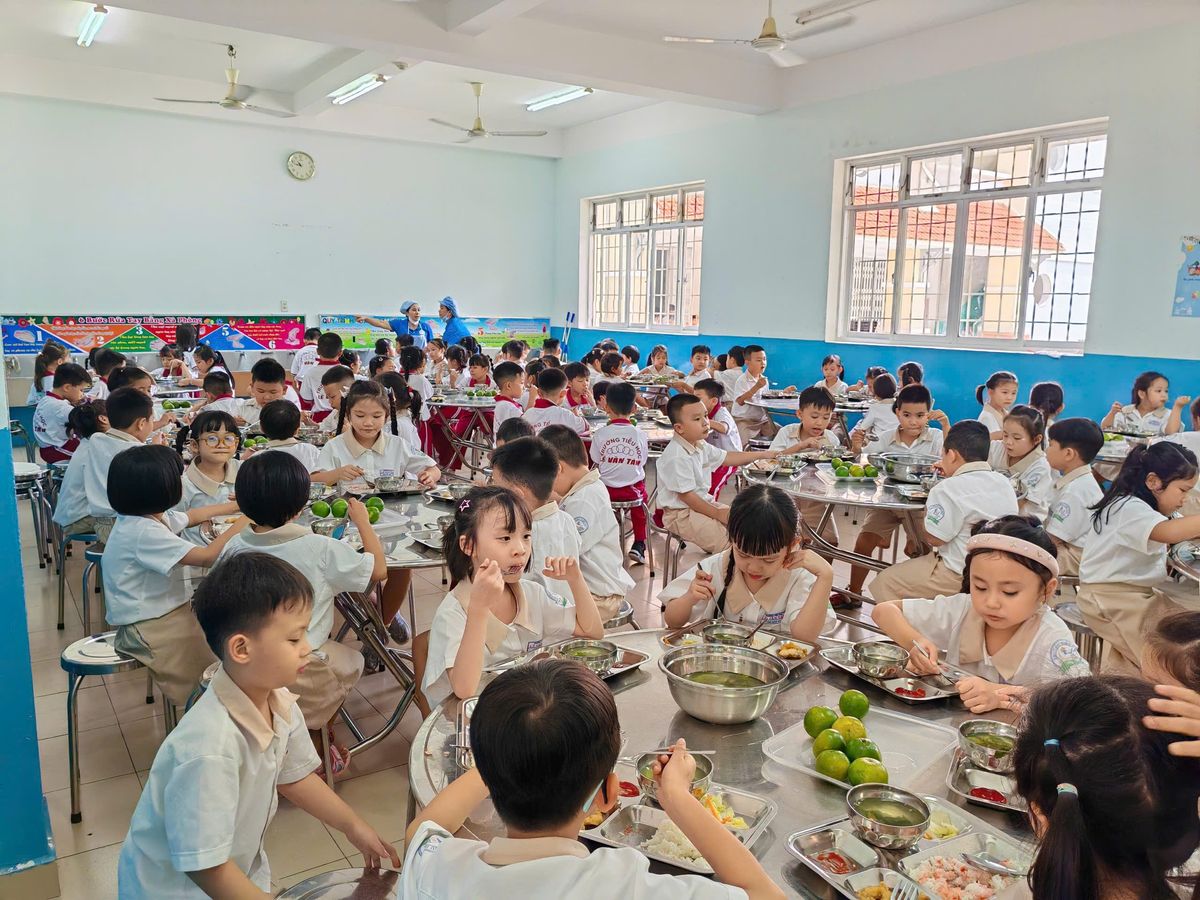 An toàn thực phẩm suất ăn bán trú trường học và vai trò của nhà thầu suất ăn chuyên nghiệp