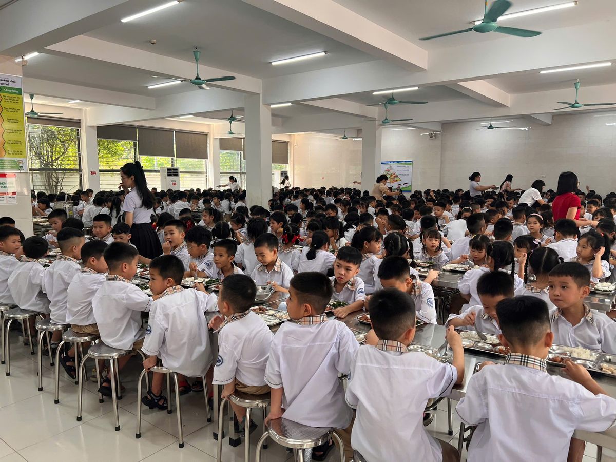 Tin tức 24h Haseca