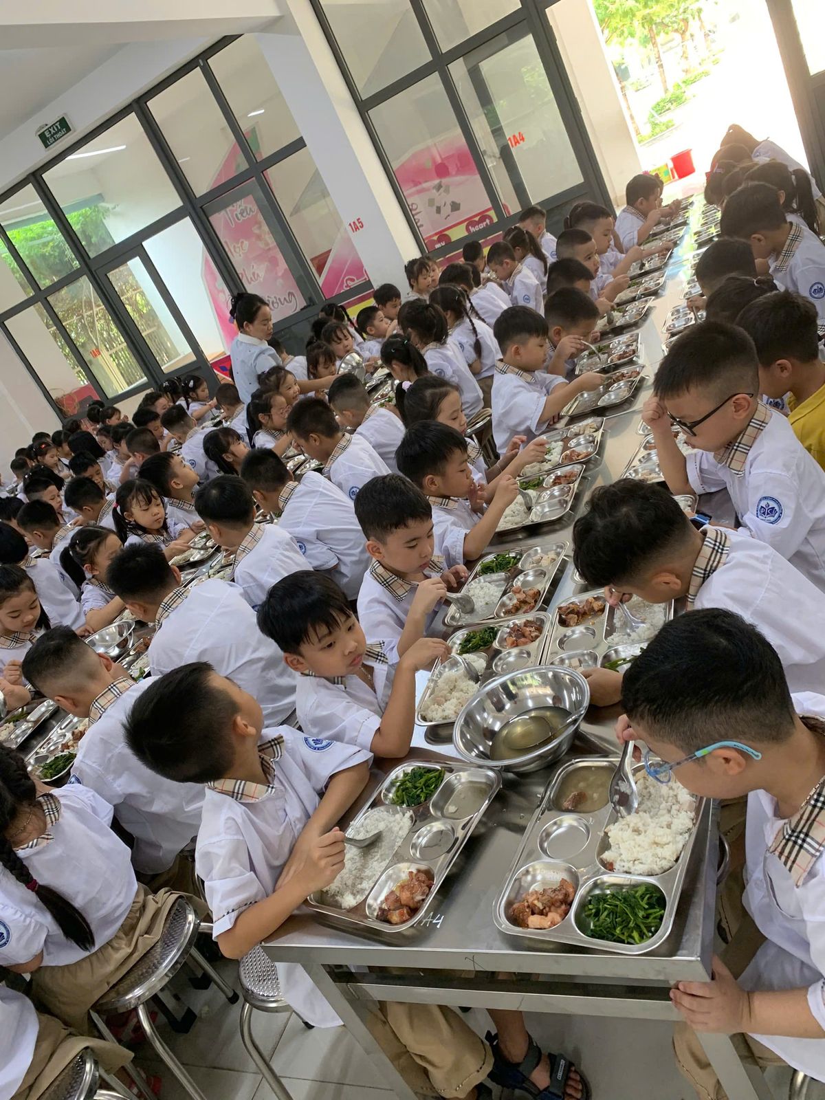 Tin tức 24h Haseca