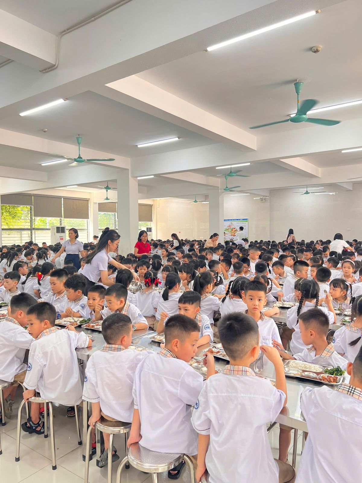 Tin tức 24h Haseca