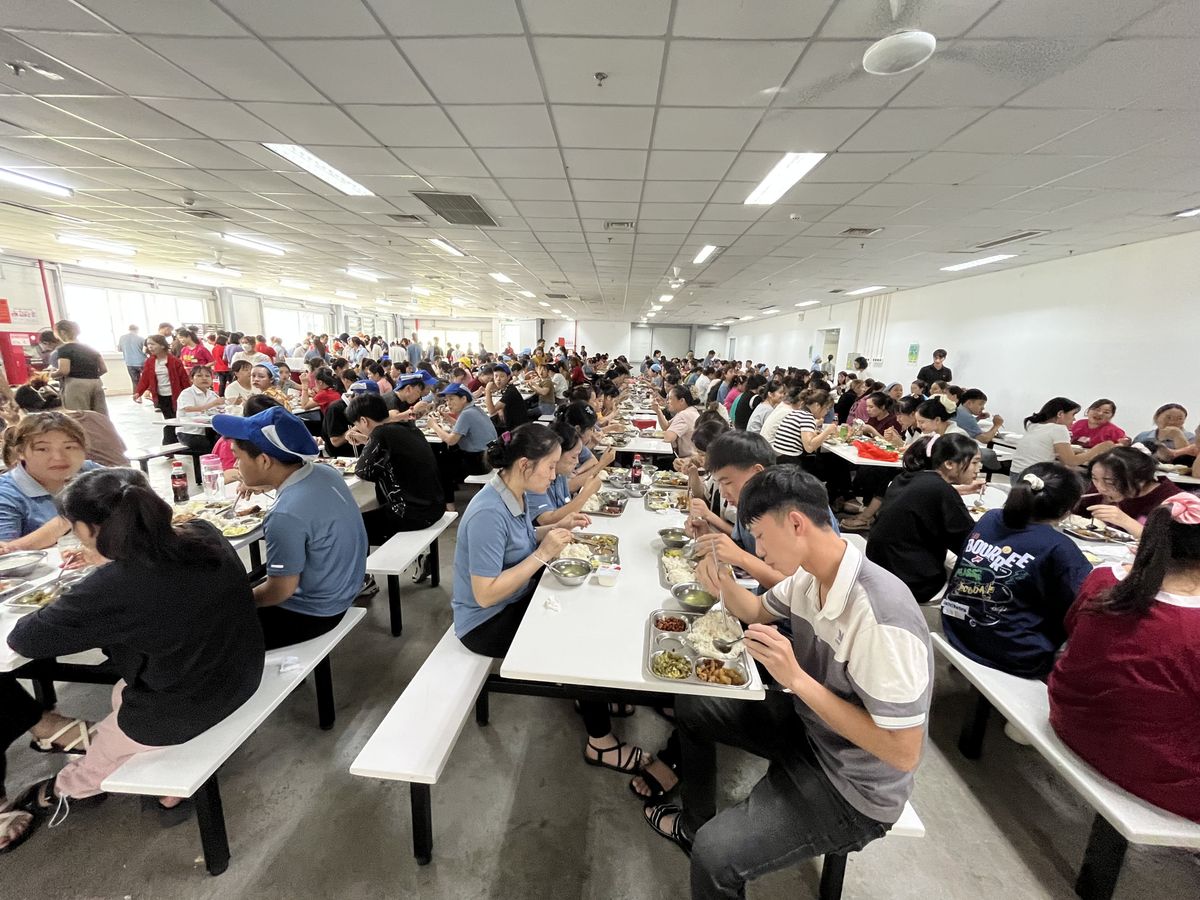 Tin tức 24h Haseca