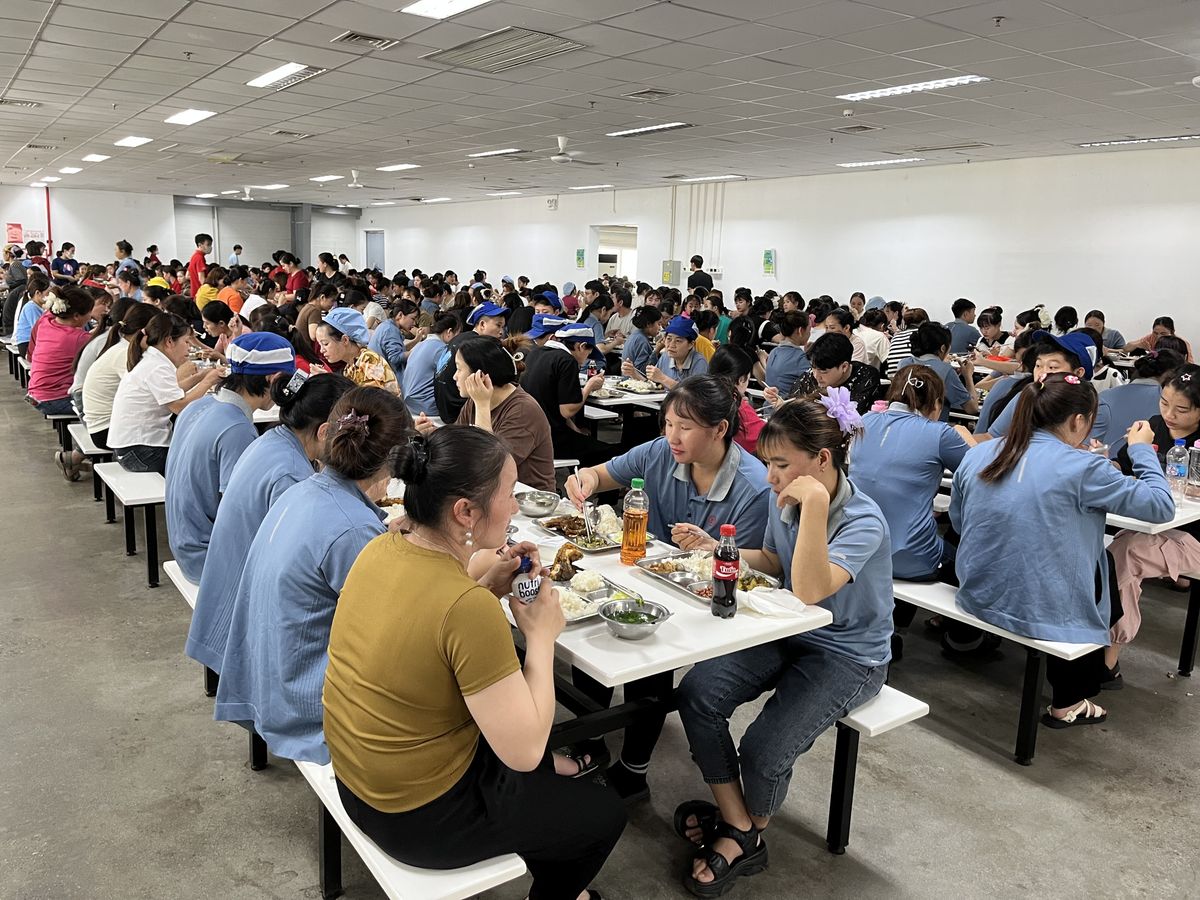 Tin tức 24h Haseca