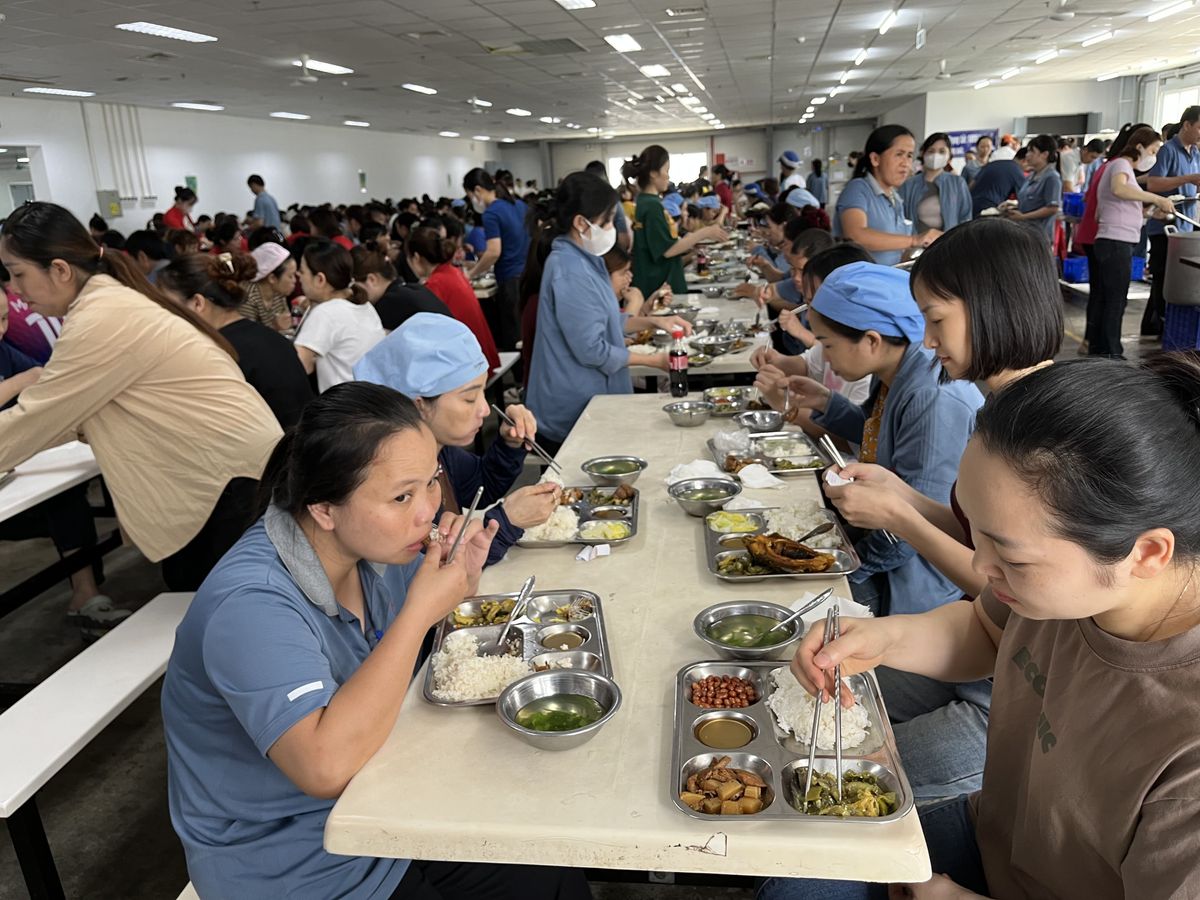 Tin tức 24h Haseca