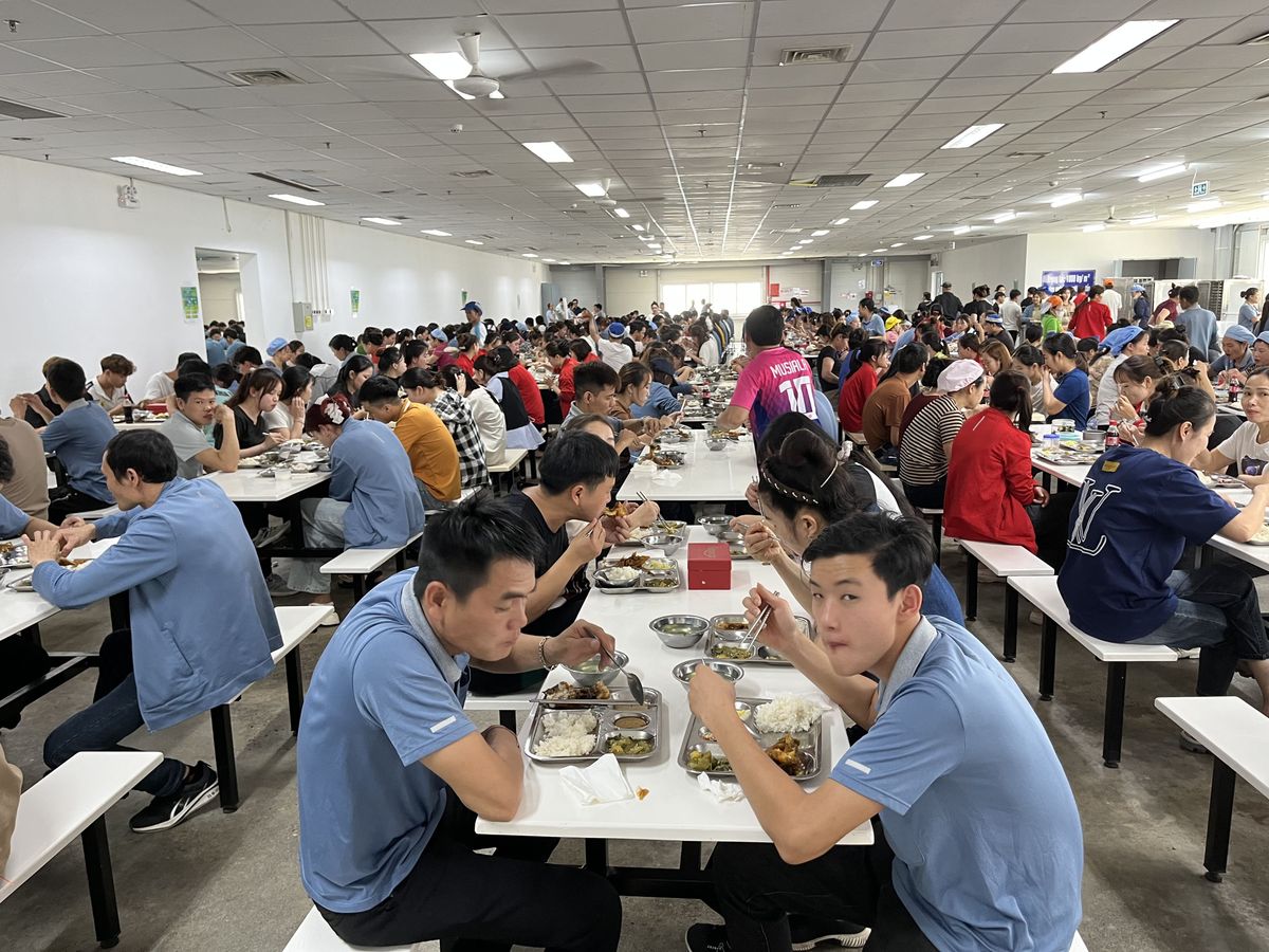 Tin tức 24h Haseca