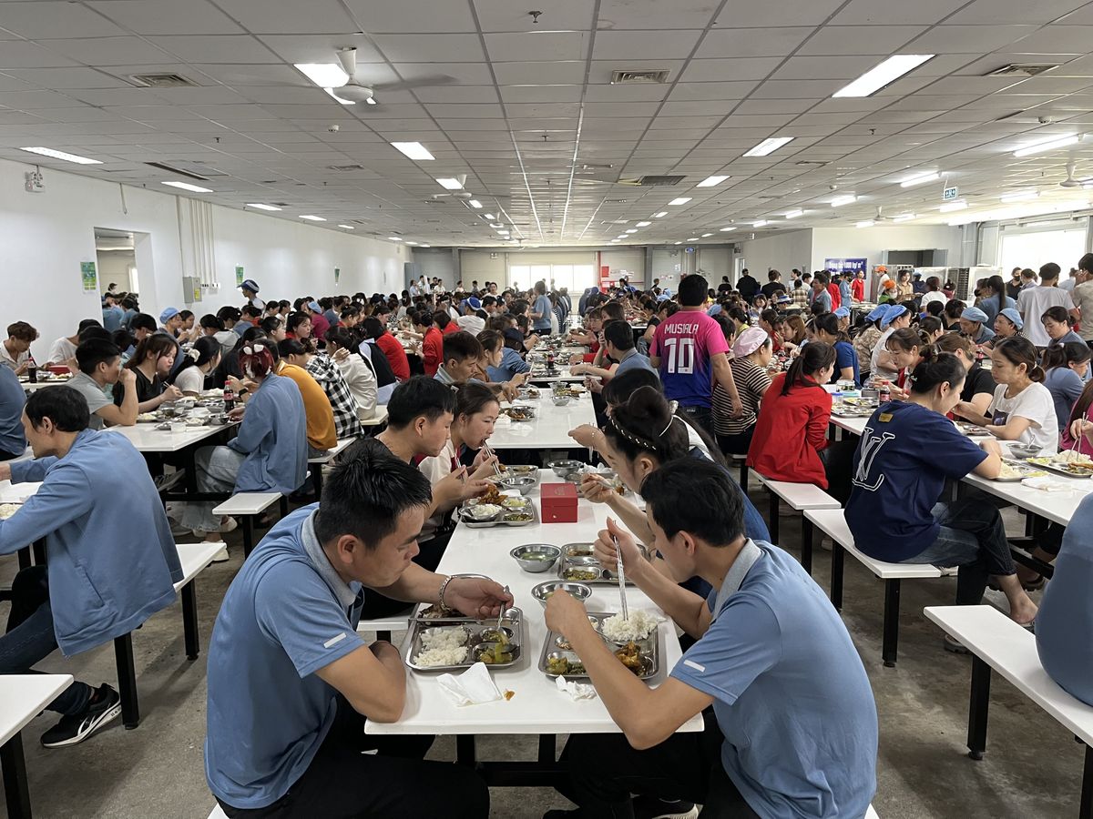 Hoạt động nội bộ