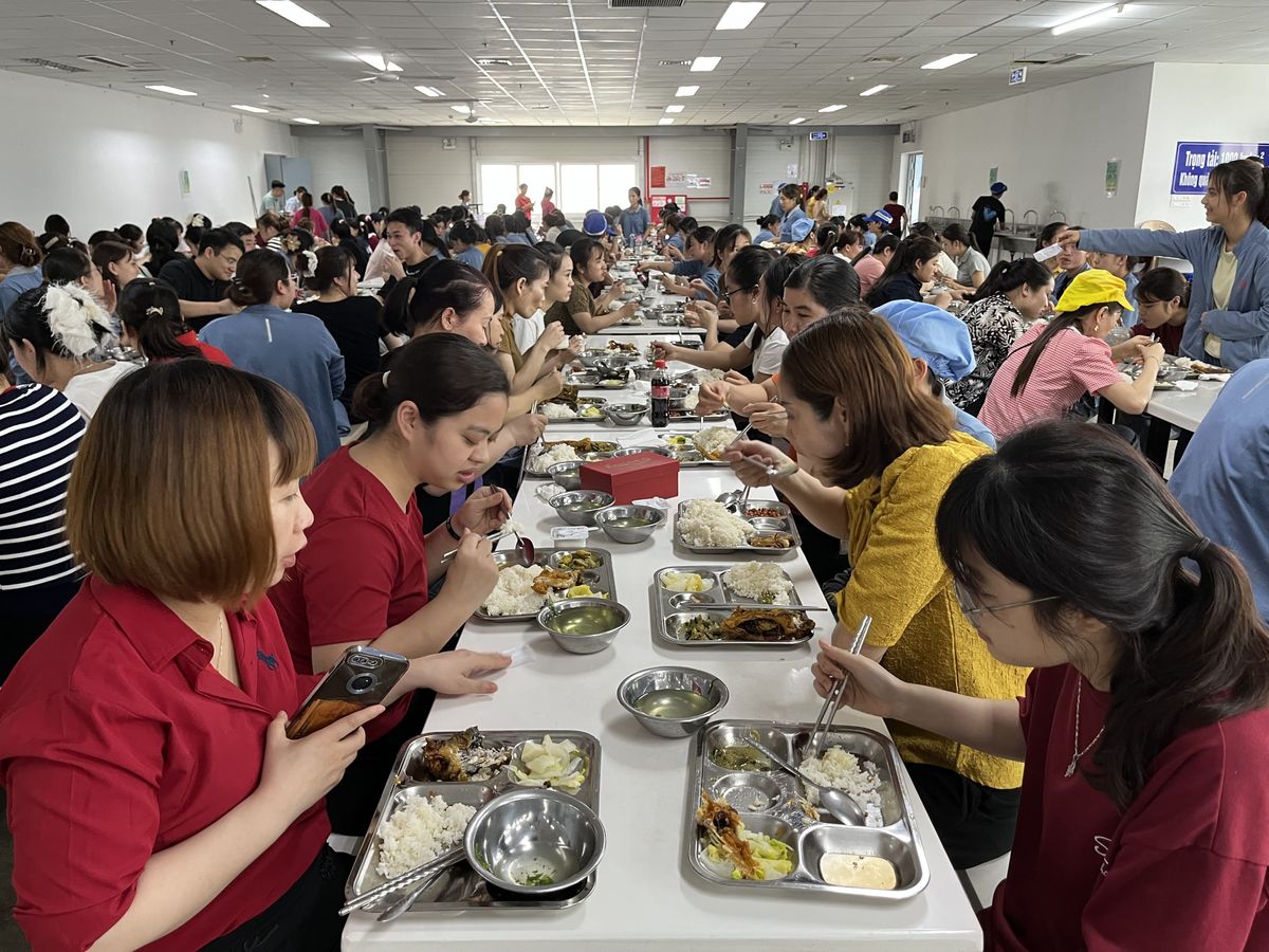 Tin tức 24h Haseca