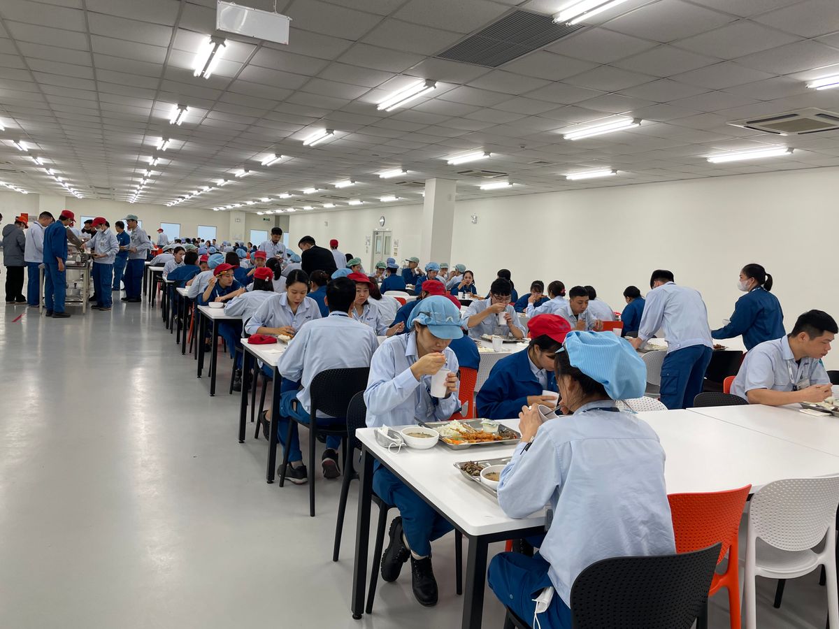 Tin tức 24h Haseca