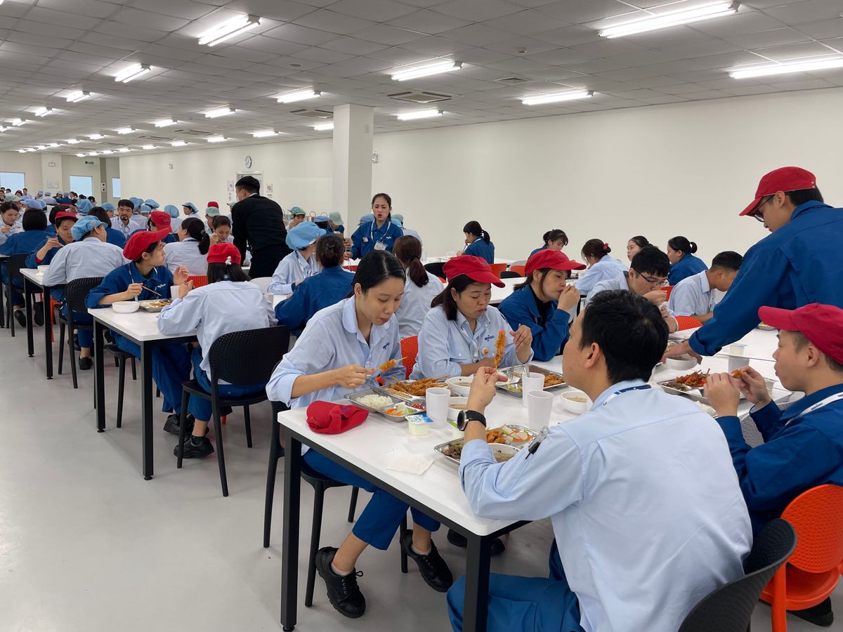 Tin tức 24h Haseca