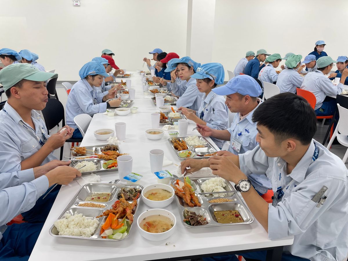 Tin tức 24h Haseca