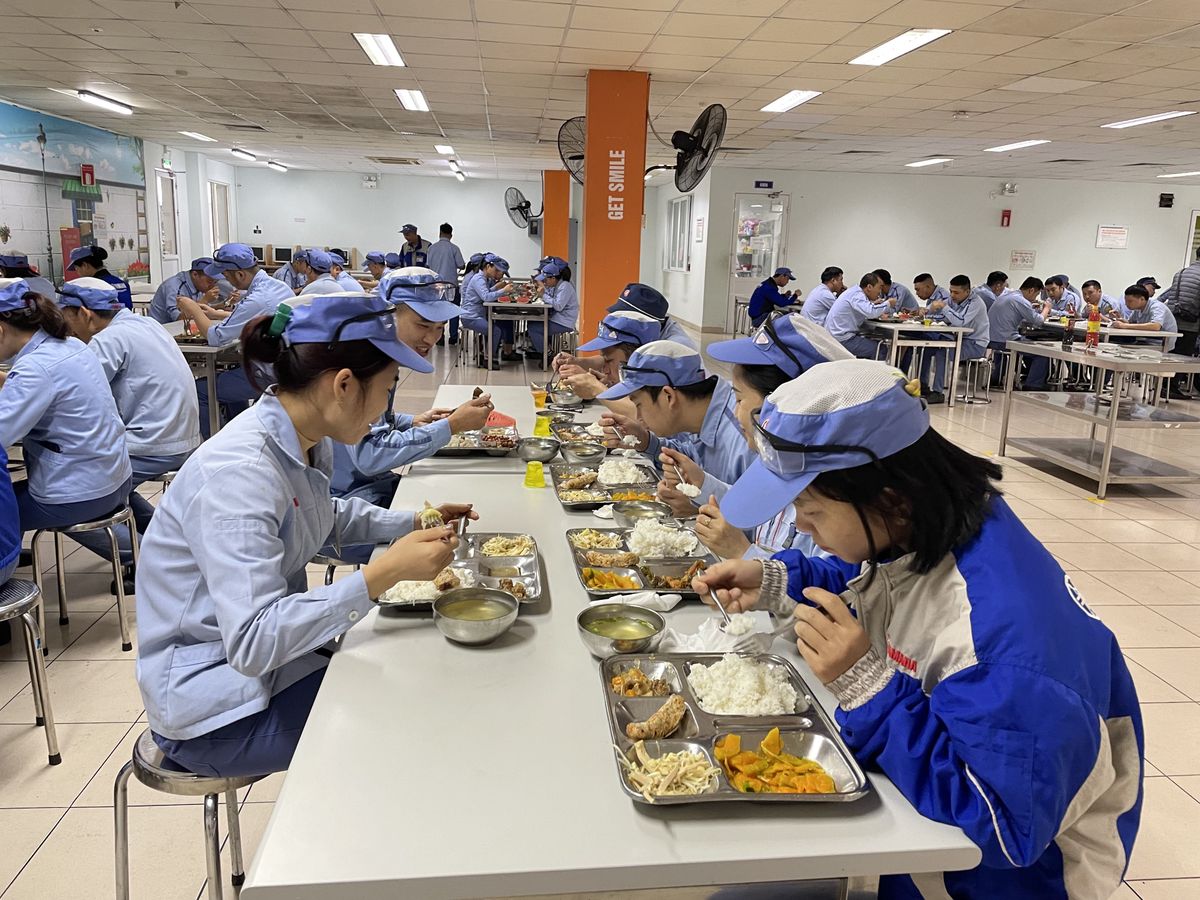 Tin tức 24h Haseca