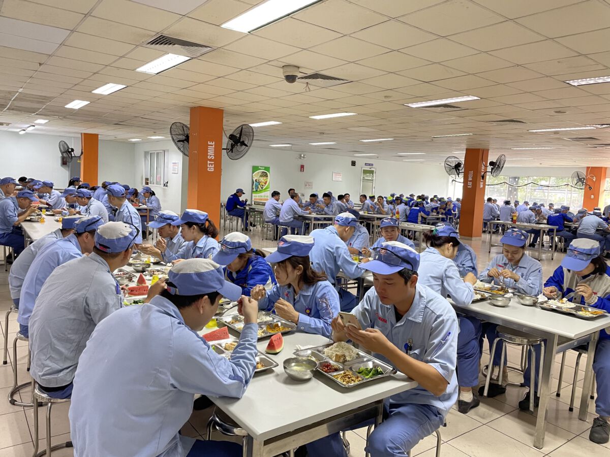 Hoạt động nội bộ