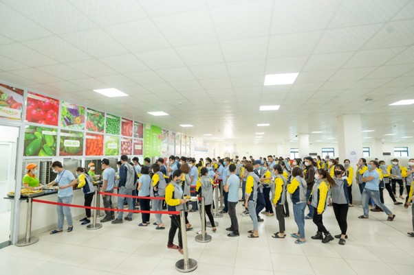 Hoạt động nội bộ