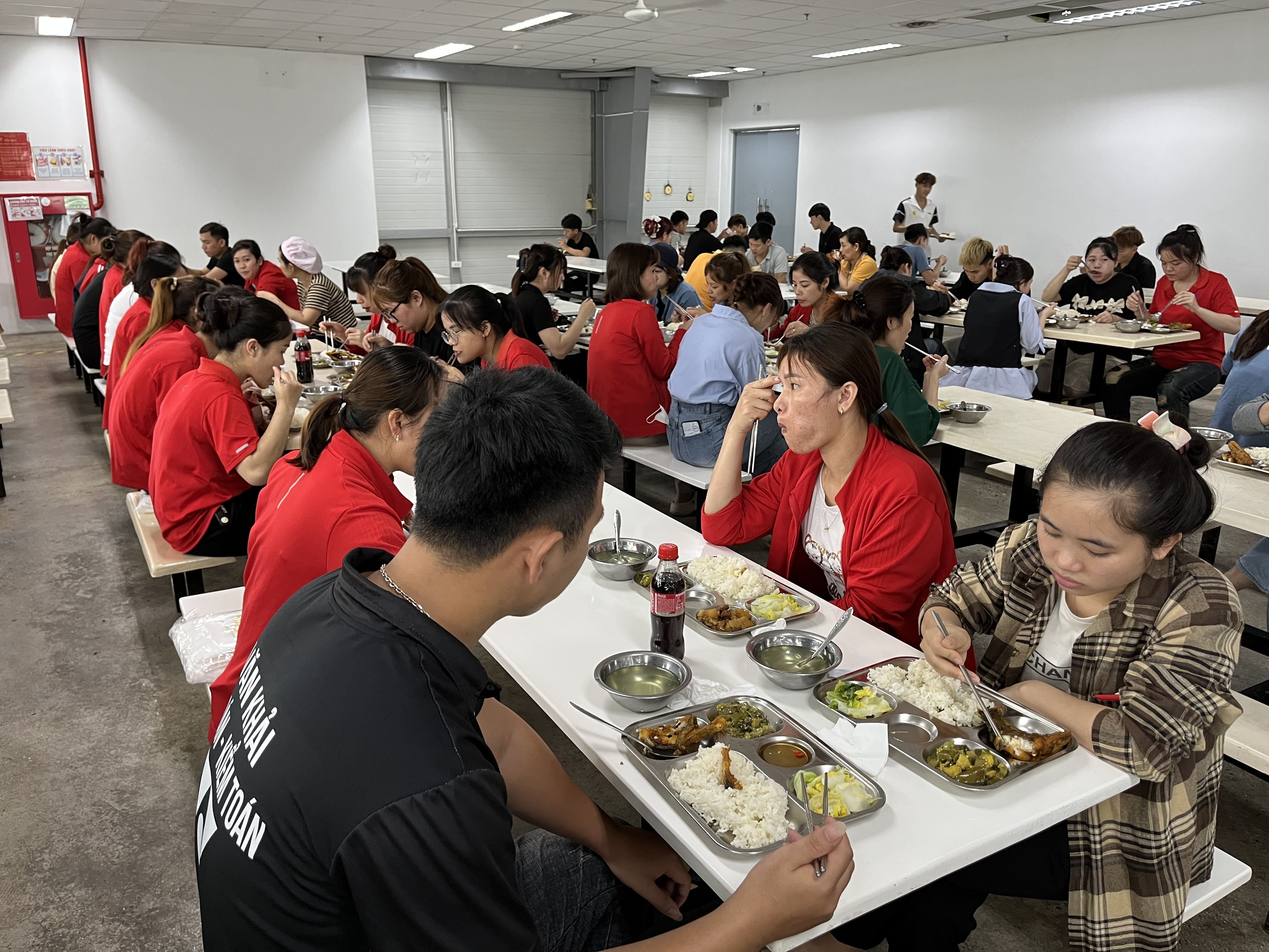 Lộ trình đào tạo đầu bếp công nghiệp mới vào nghề tại Haseca