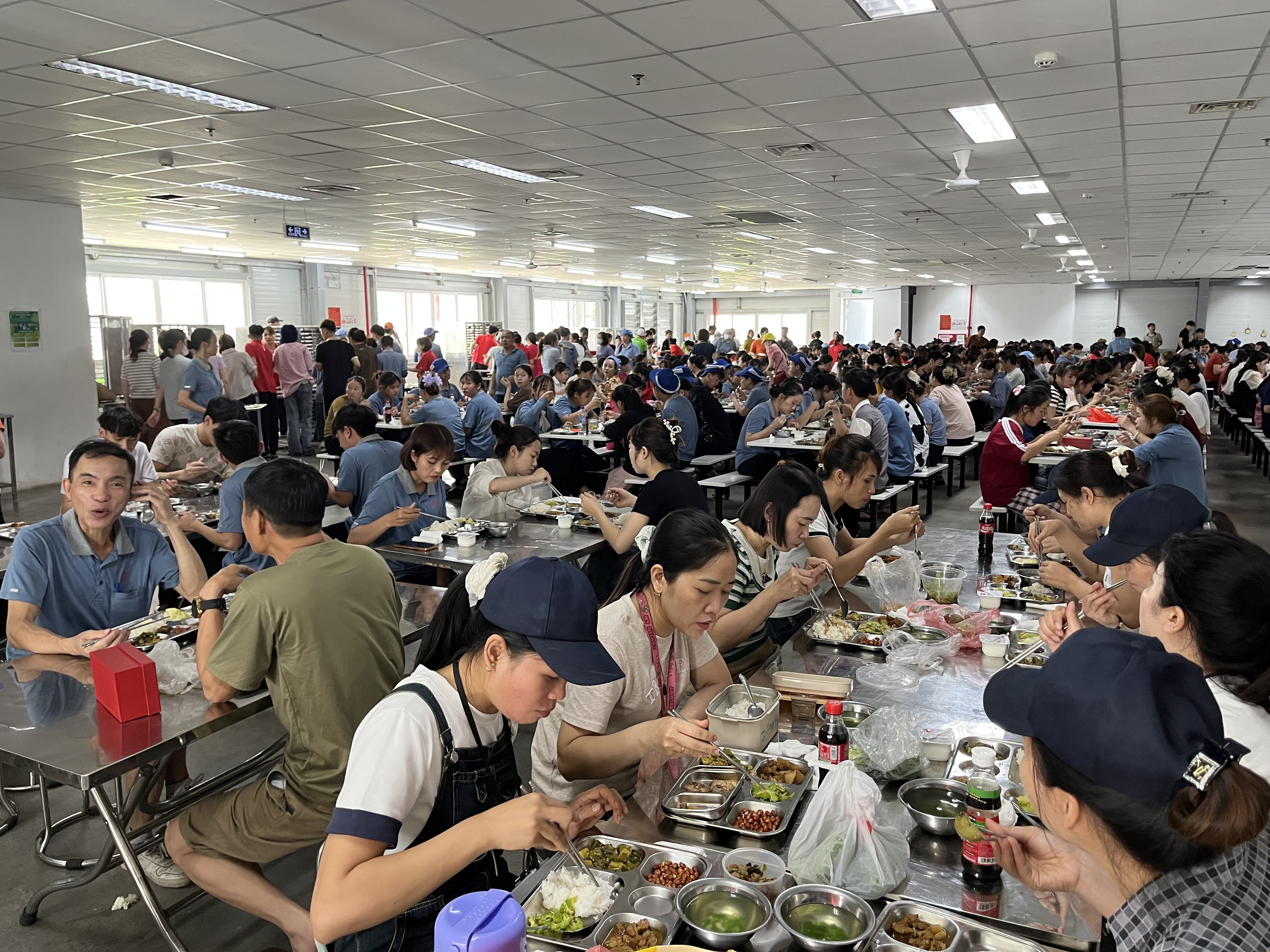 Quản lý chất lượng theo ISO 9001 trong dịch vụ suất ăn công nghiệp