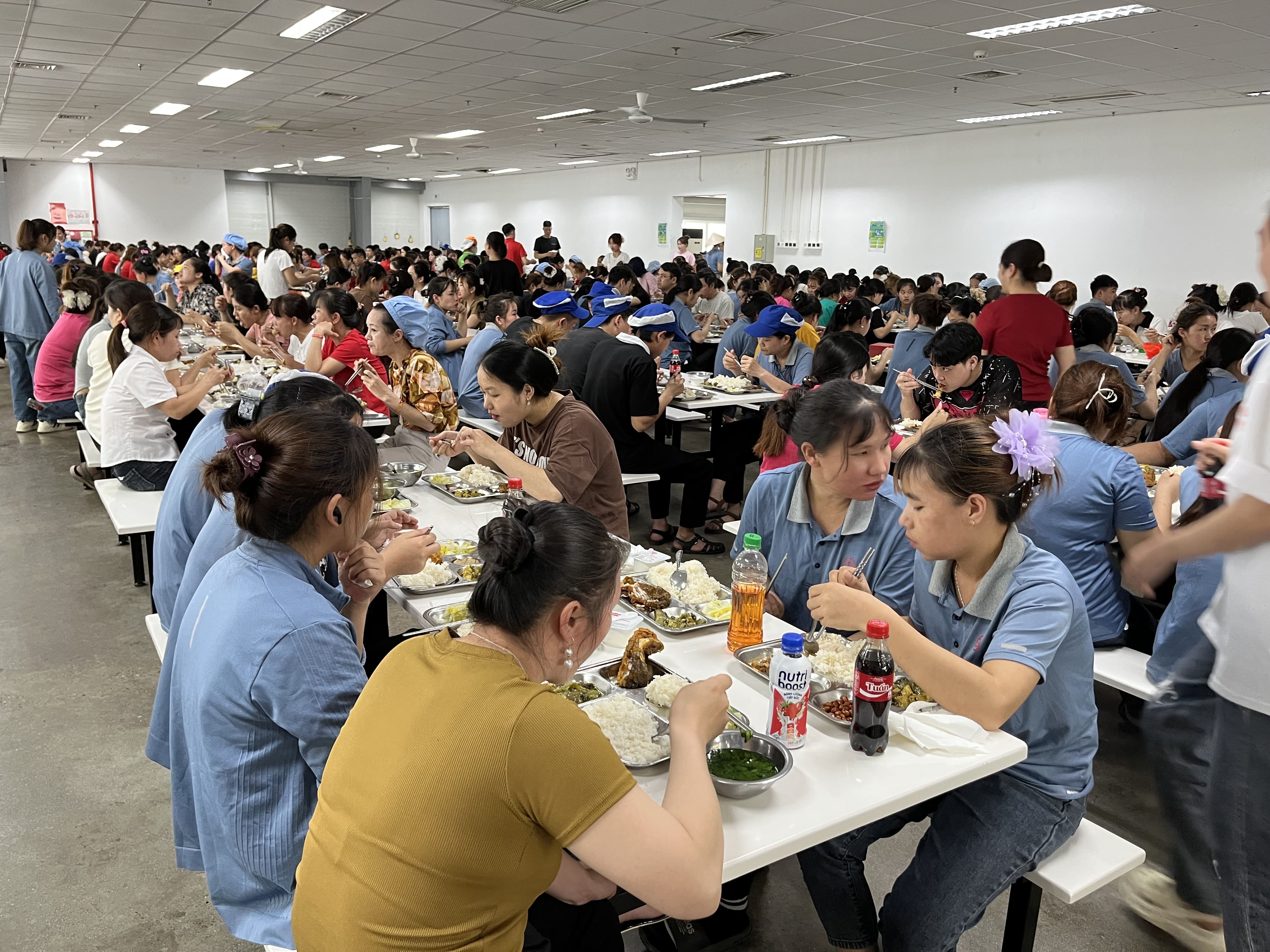 Công ty suất ăn công nghiệp: Quy trình xử lý nguyên liệu nhạy cảm (thịt sống, hải sản)